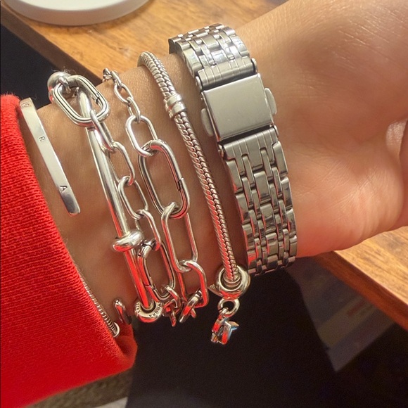 Silver Stainless Steel Watch with Roman Numerals - Picture 3 of 5